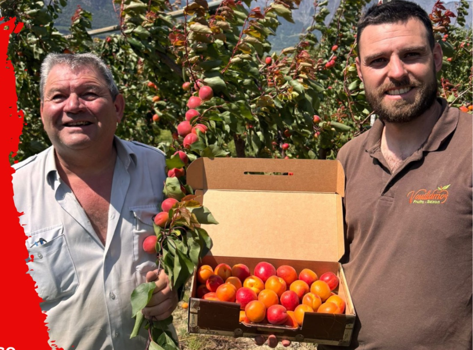 Frédéric et Aymeric Vouillamoz dans leur vergers d'abricot Du Valais